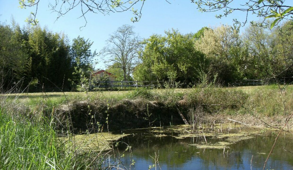 Saint-Christoly-de-Blaye 13